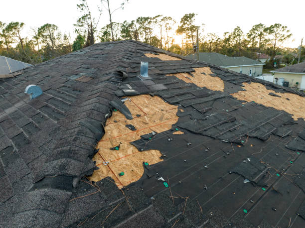 Best Metal Roofing Installation  in Maysville, KY