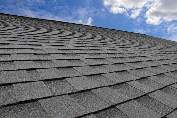 Best Roof Moss and Algae Removal  in Maysville, KY